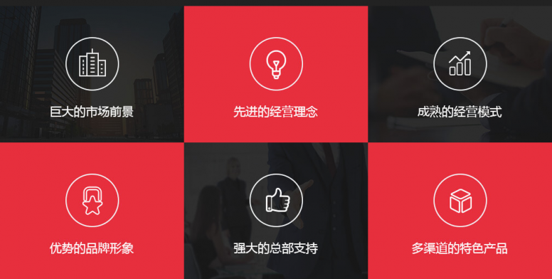 项目优势